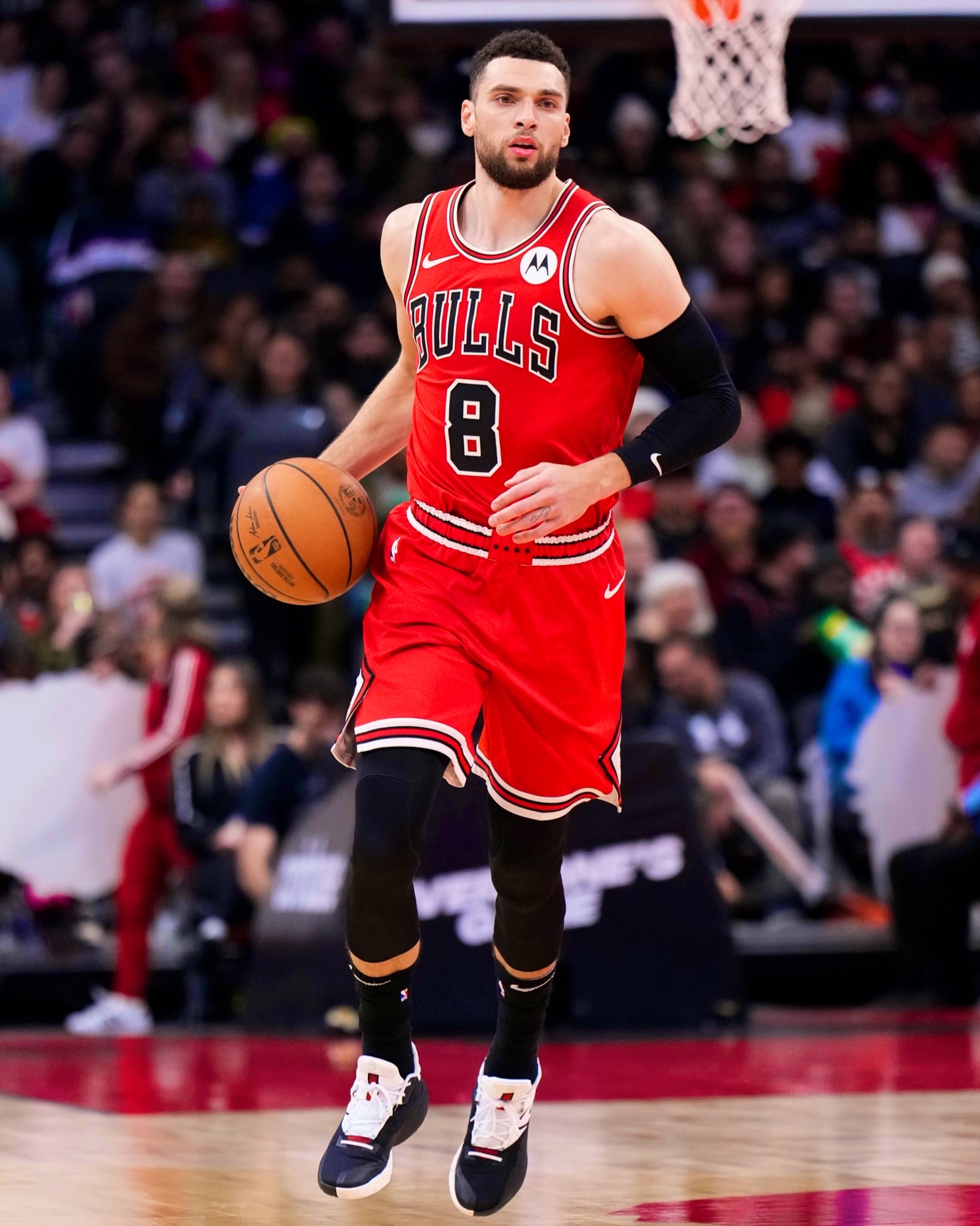 乐鱼app下载 -密尔沃基雄鹿壁纸